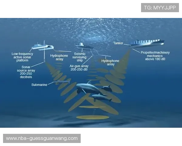 飞驰在线官网实现多语种支持满足全球用户多样化需求